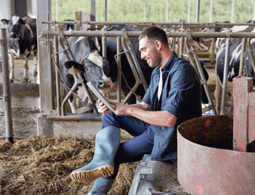 Agricultura concede las ayudas LEADER Ticket Rural 2025 a 29 proyectos emprendedores en zonas rurales de la provincia de Castellón.
